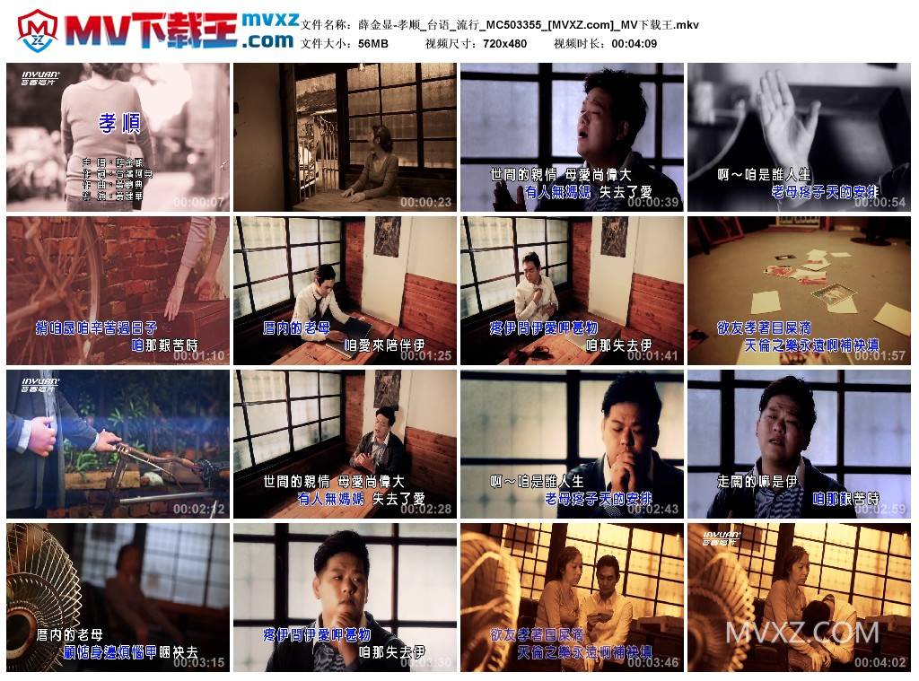 薛金显-孝顺_台语_流行_MC503355